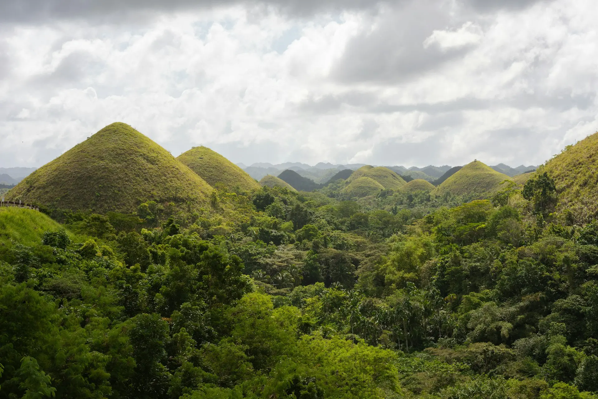 green trees on mountain under white clouds during daytime